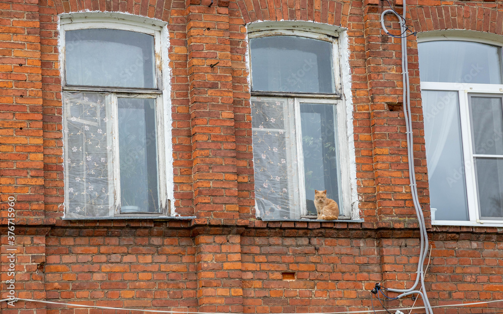 old brick house, cat sits on the second floor window