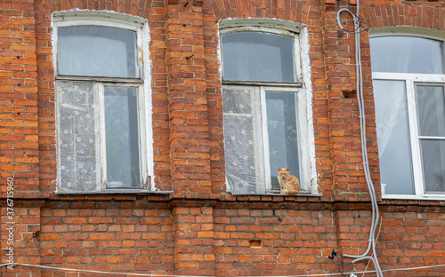 old brick house  cat sits on the second floor window