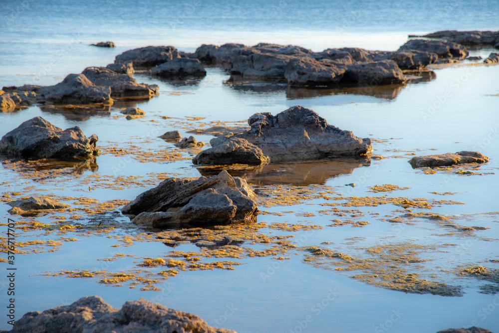 Dark textured rocks and seaweed on the blue surface of the sea. Dark textured rocks and seaweed on the blue surface of the sea.