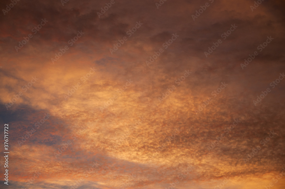 Obraz premium 夕焼けに染まり輝く雲 巻積雲