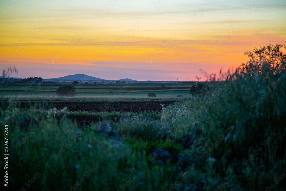 Obraz premium Atardecer de cielo naranja sobre tierras de cultivo 