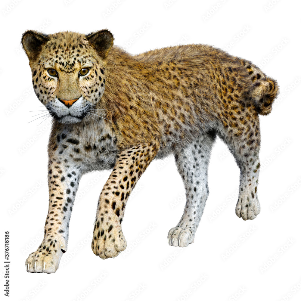 Naklejka premium 3D renderowania Big Cat Leopard na białym tle