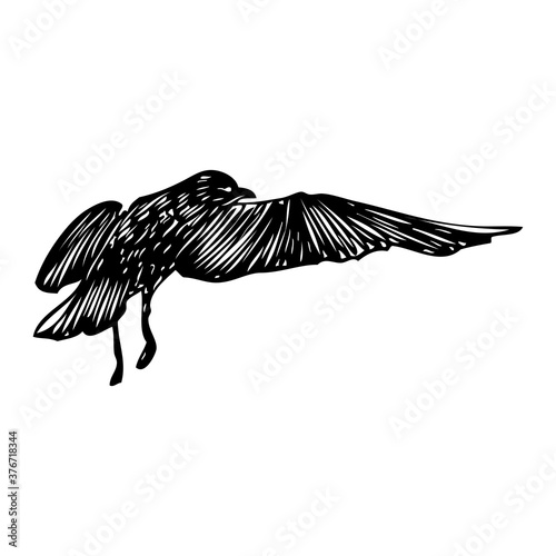 Black seagull, hand drawn strokes marine sea gull bird. Drawing sketch. Inspirational body or flesh sailor tattoo. Nautical vector.