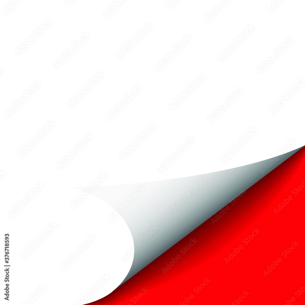 Curled corner of paper on transparent background with shadows, realistic paper page mock up. Curled corner of paper on transparent background with shadows, realistic paper page mock up.