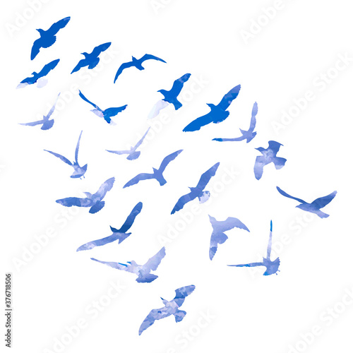 Watercolour silhouette of flying birds seagulls on white background. Inspirational body or flesh ink tattoo design of sea birds. Vector.