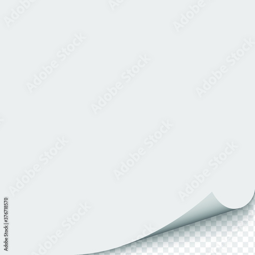 Curled corner of paper on transparent background with shadows, realistic paper page mock up.