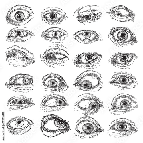 Expressive eye and brow with lashes image set with different mood and directions. Design element for vision or character design. Hand drawing for beauty salon,  tattoo design, or characters. Vector.