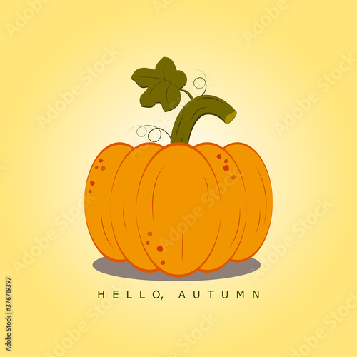 Hello Autumn cartoon orange pumpkin. Vector illustration. October harvest background. Fall season