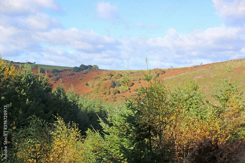 Obraz premium Teign Valley, Devon in Autumn 