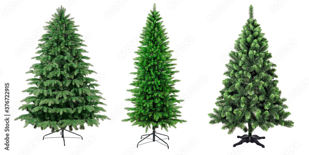Traditional christmas trees on stand without seasonal decoration isolated on white