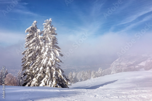 Snow landscape, Mont Salève, Archamps, France 
