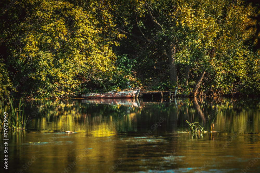 Obraz premium pond in the park