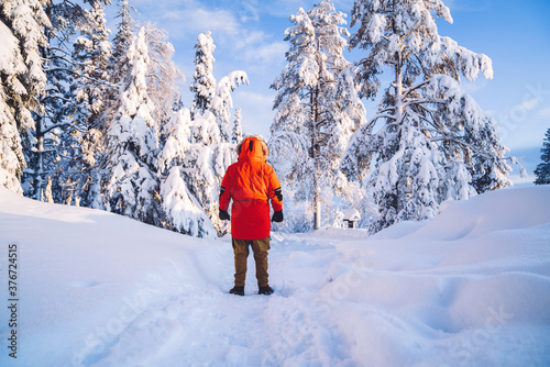 Back view of male traveler in red winter coat feeling warm during northern trip explore destination, man standing in forest with tall trees in frost and snow during journey