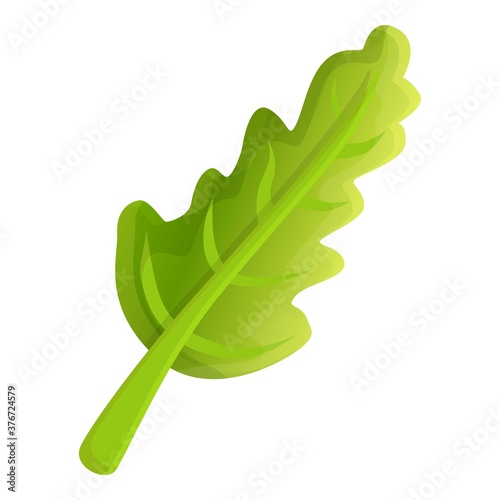 Arugula food icon. Cartoon of arugula food vector icon for web design isolated on white background