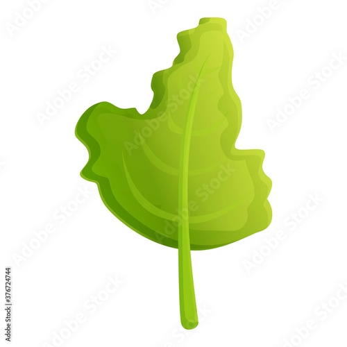 Appetizer arugula icon. Cartoon of appetizer arugula vector icon for web design isolated on white background