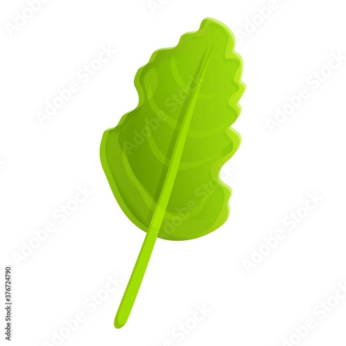 Organic arugula icon. Cartoon of organic arugula vector icon for web design isolated on white background