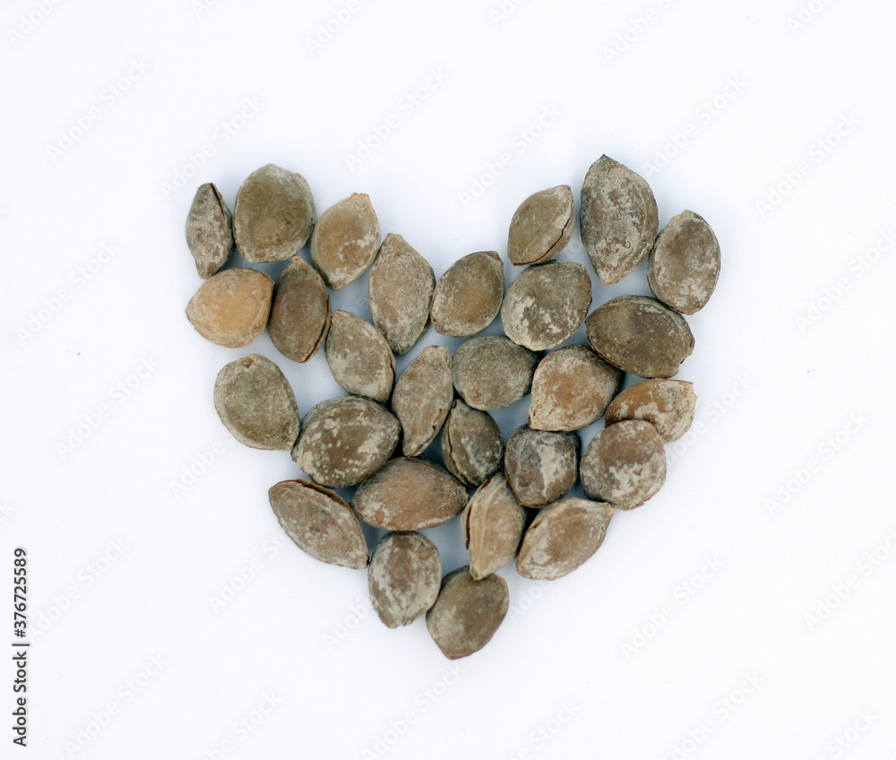 Heart symbol made of nuts. Apricot nuts white background. Heart symbol made of nuts. Apricot nuts white background.
