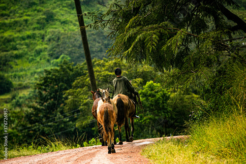 Campesino se traslada después de una jornada e trabajo en el campo. Santa Ana Francisco Morazán, Honduras. 