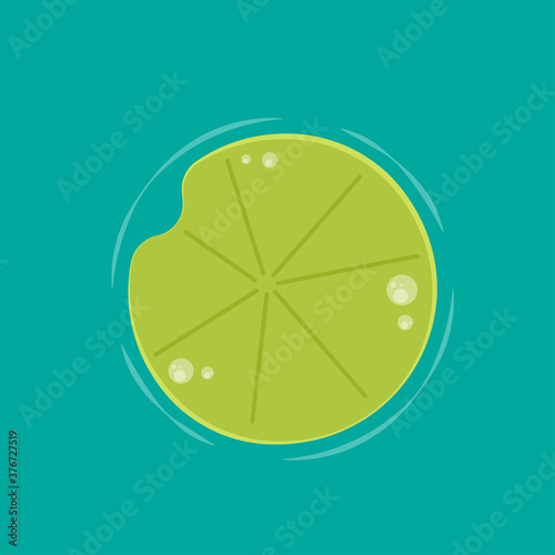 Lily pad vector. Lily pad logo design.