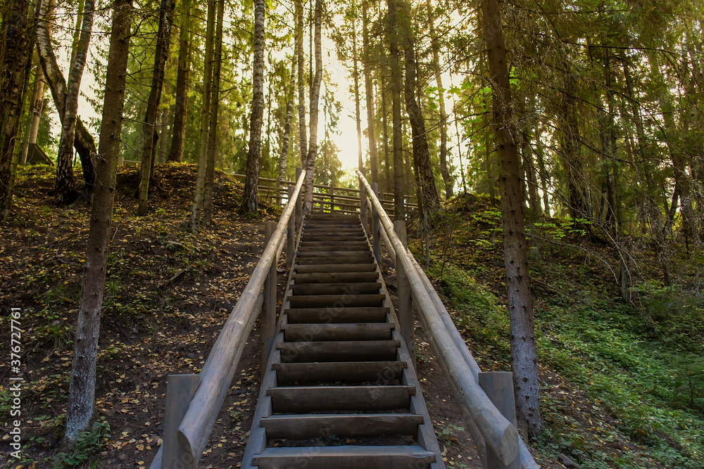Wooden staircase in the woods, summer Wooden staircase in the woods, summer