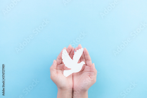 Hand holding white dove bird on blue background, international day of peace or world peace day concept, animal rights, hope concept. photo