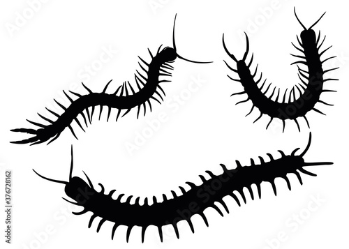 Centipedes in the set. Pests and parasites.