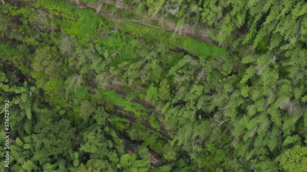 Bird's eye view Many refreshing green tropical forests, aerial view drone shot.
Bird's eye view Many refreshing green tropical forests, aerial view drone shot.