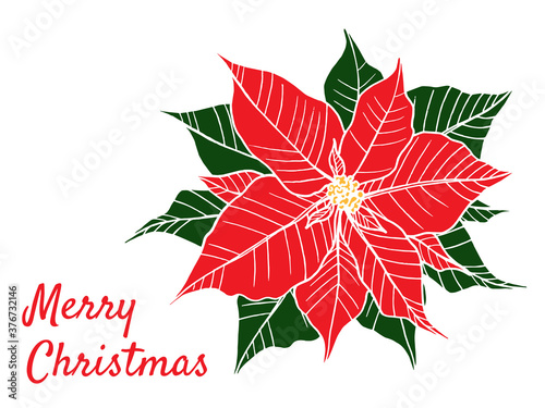 Merry Christmas greeting card. Poinsettia in doodle line style  modern illustration isolated on white background.