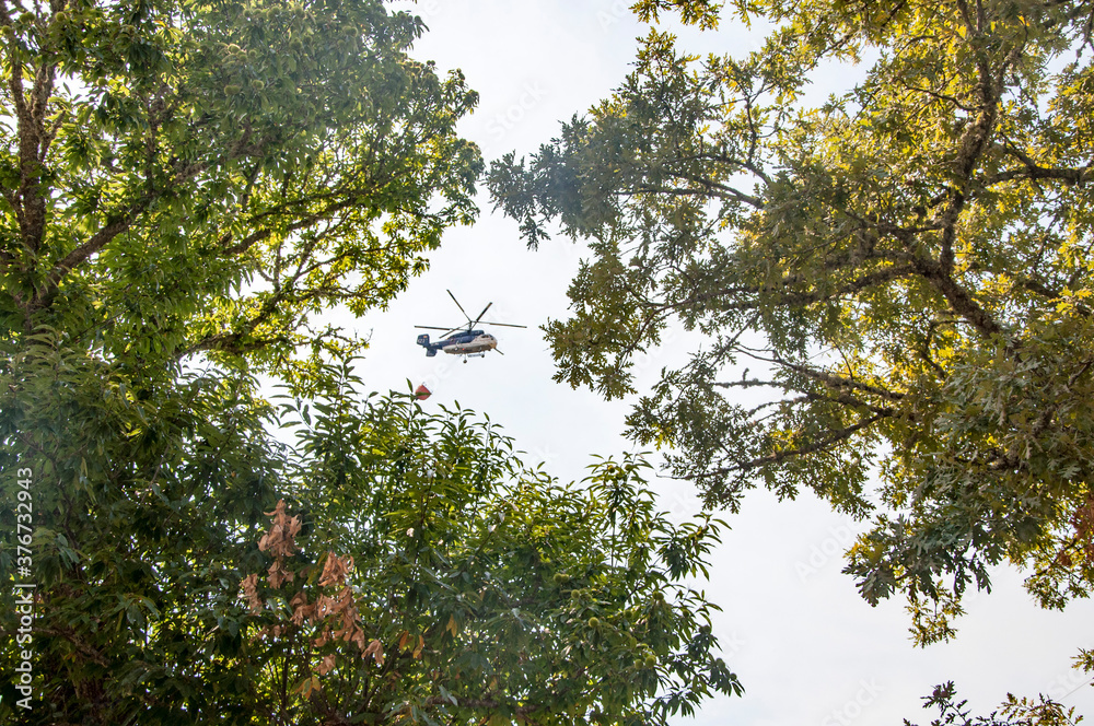 Fototapeta premium Helicóptero