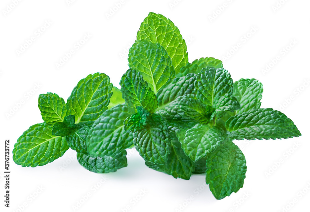 Peppermint leaves isolated on white background. Fresh spearmint or Mint leaves close up Peppermint leaves isolated on white background. Fresh spearmint or Mint leaves close up