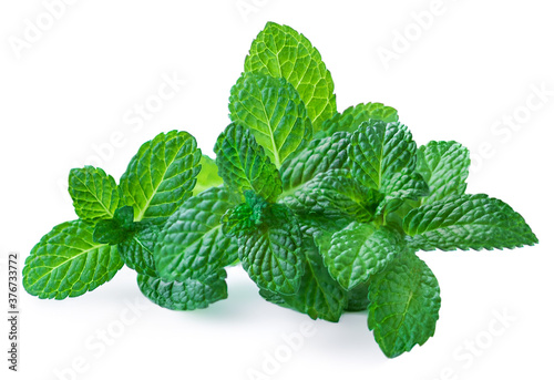 Peppermint leaves isolated on white background. Fresh spearmint or Mint leaves  close up