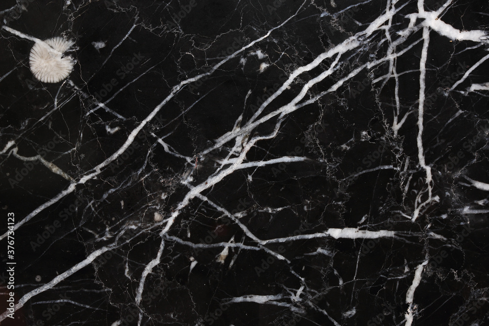 White patterned natural of Black marble (Marquina) texture for design.