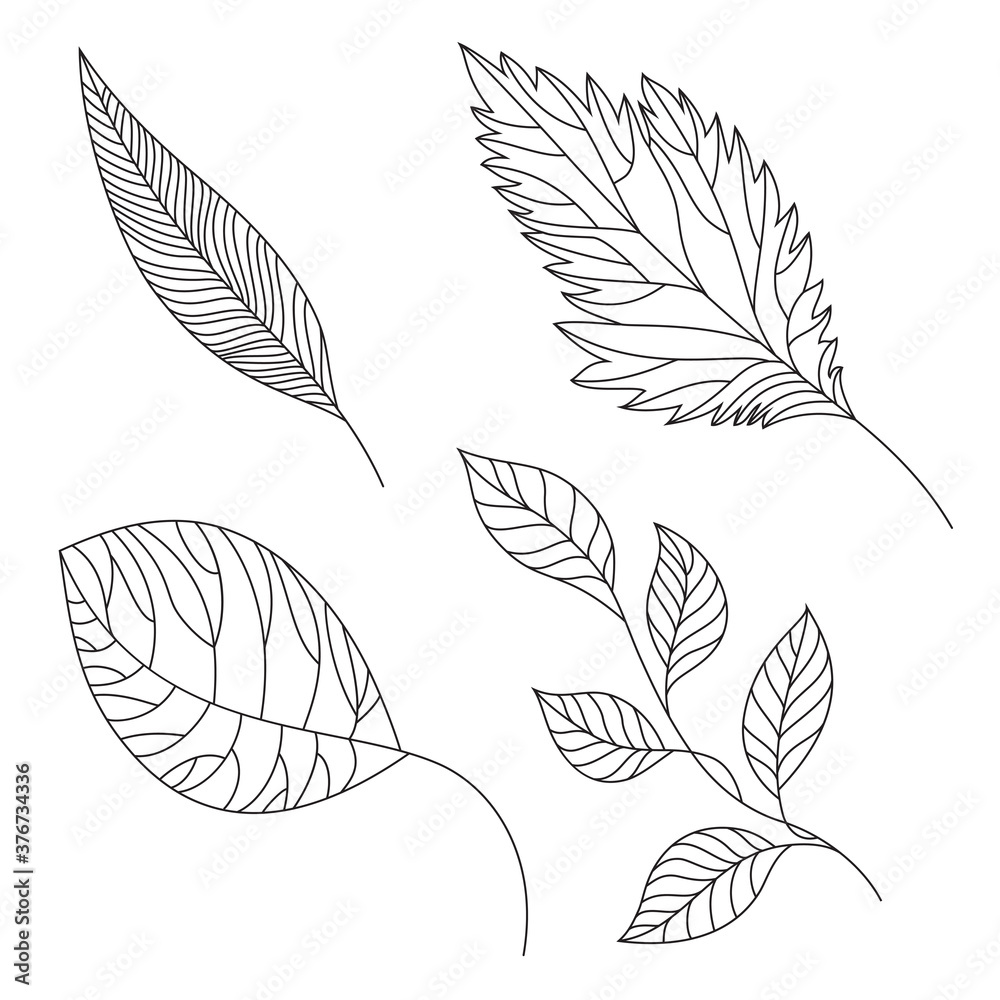 Collection of hand-drawn leaves; vector set of leaves Collection of hand-drawn leaves; vector set of leaves