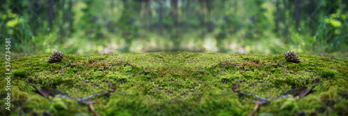 Canvas Print A stone covered with green moss in the forest