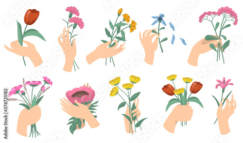 Cartoon female hands holding flower bouquets. Set of tulips, carnations, fresh garden and field flowers. Vector illustrations for blossom, romantic decoration, flora concept