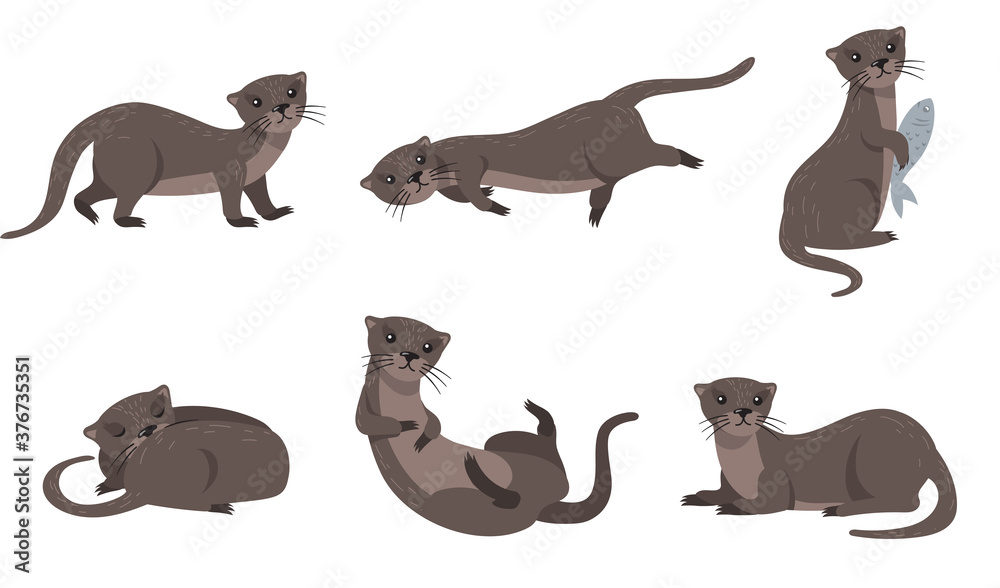 Cute weasel set. Cartoon animal in different poses and actions, otter holding fish, sleeping, walking, swimming. For wildlife, fur, nature concept