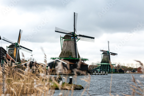 Fototapeta Naklejka Na Ścianę i Meble -  Windmills in the village Zaanse Schans on a cloudy autumn day, The Netherlands
