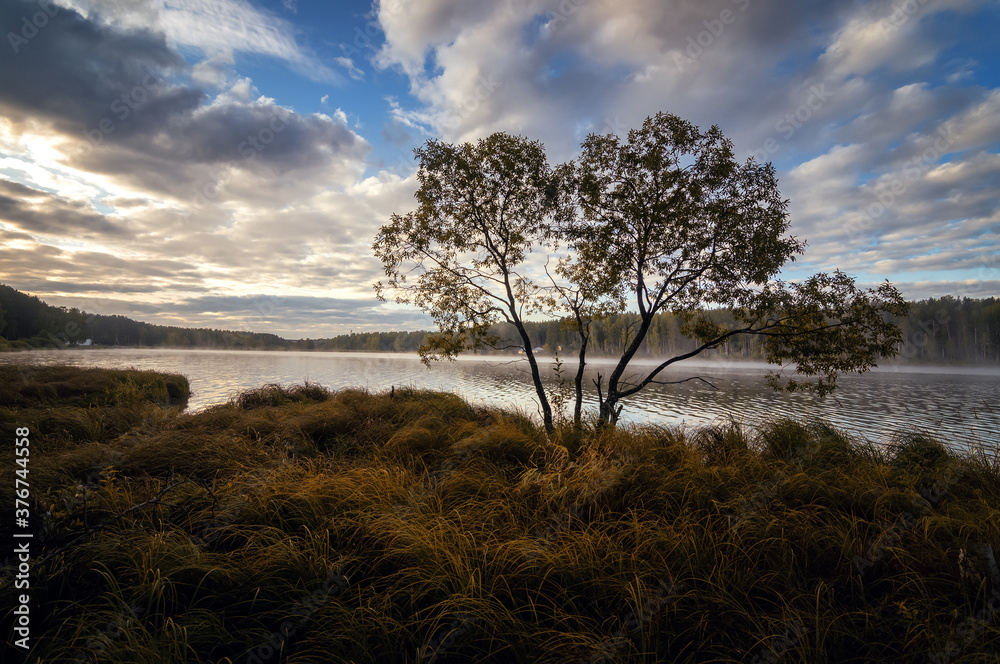 Obraz premium landscape of a foggy morning on a lake in autumn, Russia, Ural