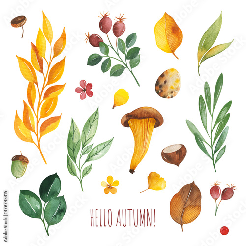 Watercolor Autumn set with leaves,mushrooms,berries,branches,eggs,nuts,acorns,flowers and more. Perfect for wallpapers,stickers,scrapbooking,invitations,print