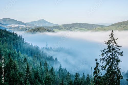 Natural scene with morning fog, Orava Region, Slovakia © vrabelpeter1