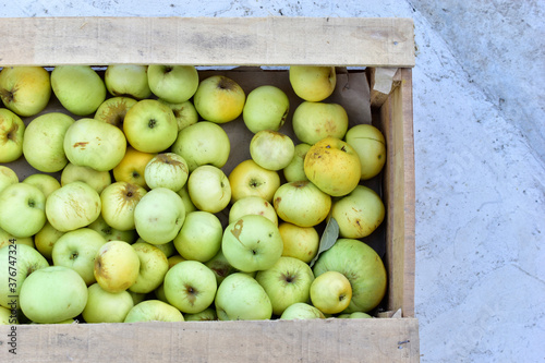 Wooden box full of green ripe apples in autumn