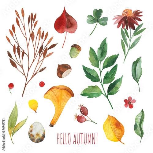 Watercolor Autumn set with leaves,mushrooms,berries,branches,eggs,nuts,acorns,flowers and more. Perfect for wallpapers,stickers,scrapbooking,invitations,print