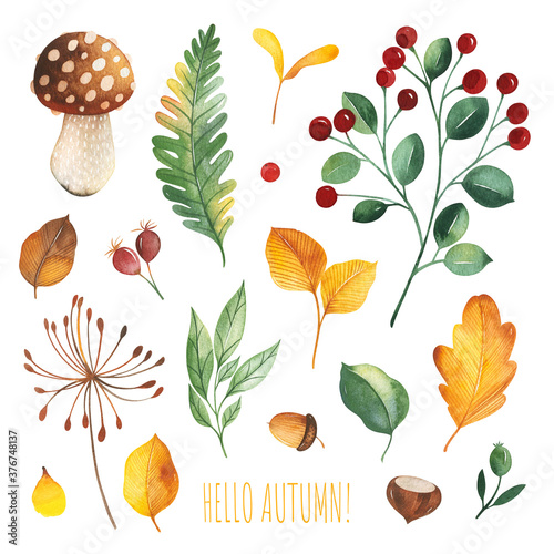 Watercolor Autumn set with leaves,mushrooms,berries,branches,oak leaf,nuts,acorns,flowers and more. Perfect for wallpapers,stickers,scrapbooking,invitations,print