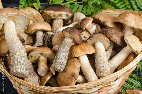 Brown mushrooms close-up in a basket. Edible forest mushrooms in summer