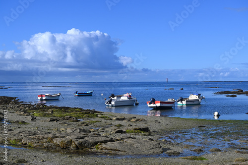 small fishing boats in a bay. Guilvinec, french Brittany photo