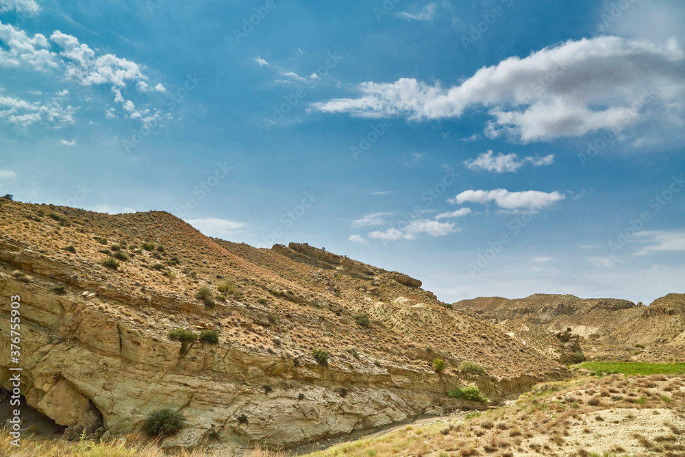 sandy surface in the mountains of Asia without rain sandy surface and dried plants sandy surface in the mountains of Asia without rain sandy surface and dried plants
