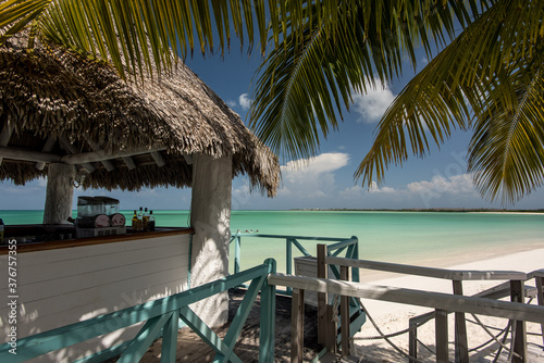 Vacation in Cuba palm trees Caribbean sea beach sun wave