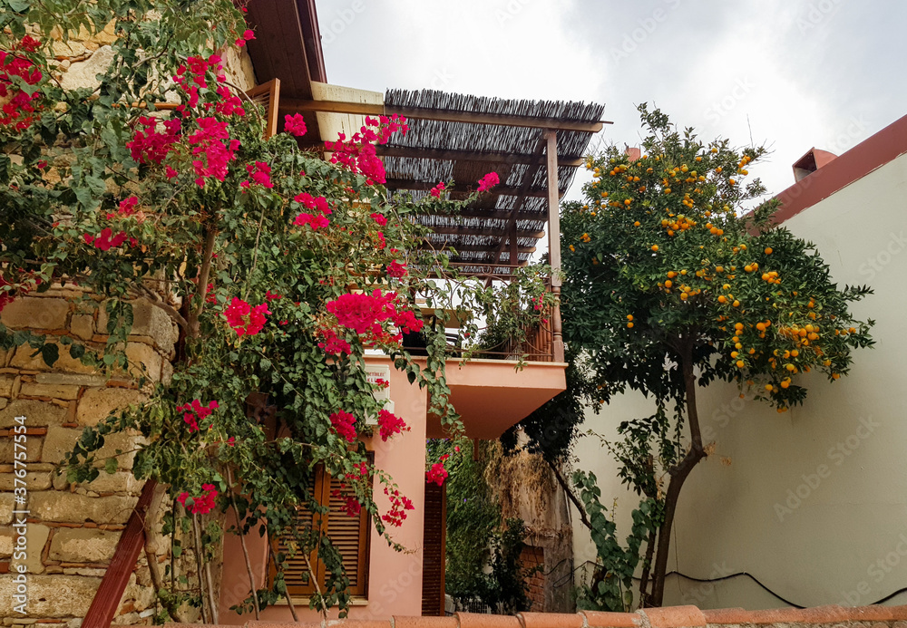 A small courtyard with a balcony and a patio where there is a Bougainvillea tree with red flowers and an orange tree with fruit