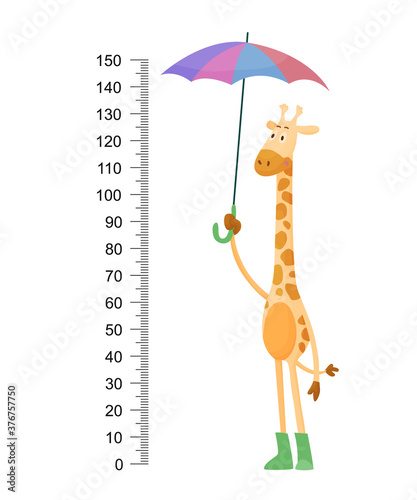Funny giraffe. Cheerful funny giraffe with long neck. Giraffe meter wall or height chart or wall sticker. Illustration with scale from 2 to 150 centimeter to measure growth