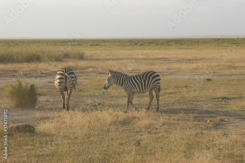 Kenya Bay Beach